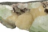 Lustrous Zoned Apophyllite with Stilbite and Heulandite - India #252438-2